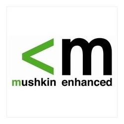 NEW Mushkin 2GB DDR3 Laptop...